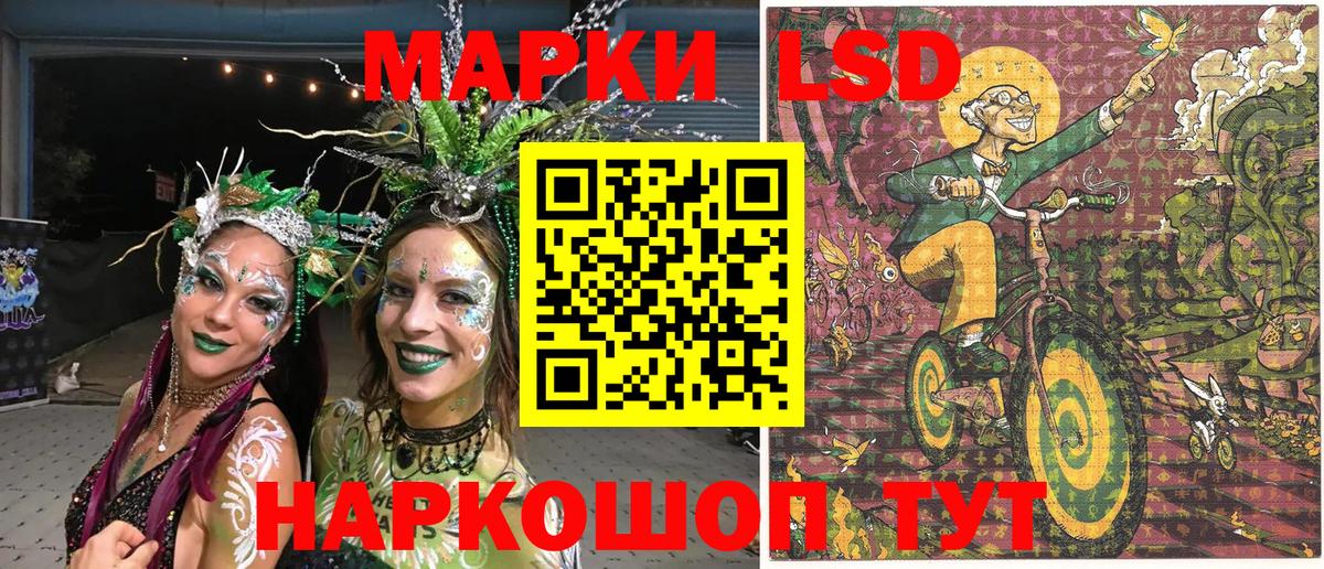 купить наркоту  Вход с VPN  Марки N-bome  Электрогорск  Наркотические марки 1500мкг  Наркотические марки 1500мкг 