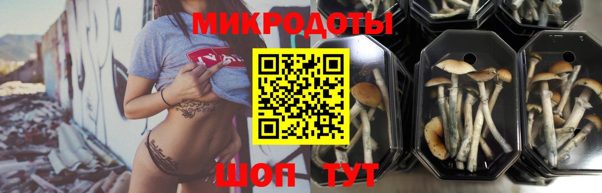 Псилоцибиновые грибы прущие грибы Электрогорск